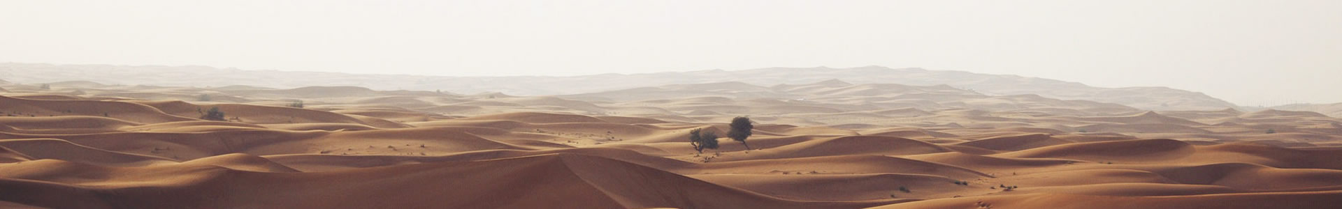 ӳӰӴýݣ޹˾